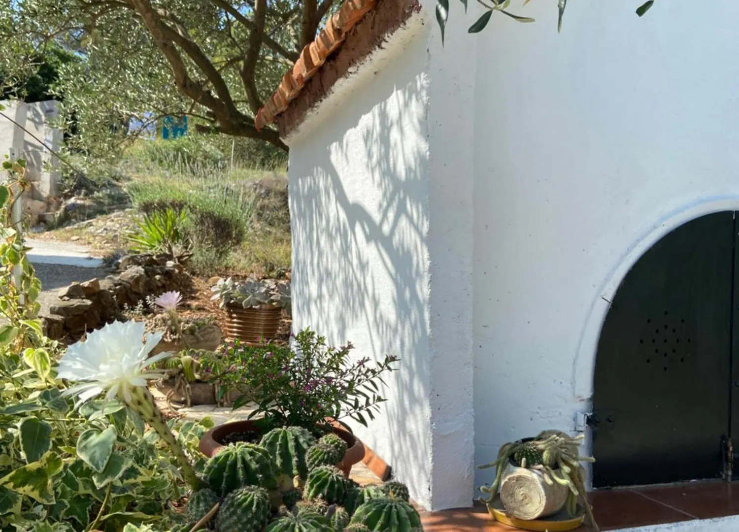 Family House Ljubica Villa Trogir Croatia